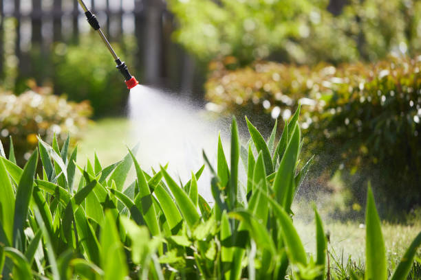 Tamper-Resistant Bait Stations for Rodents in Spencer